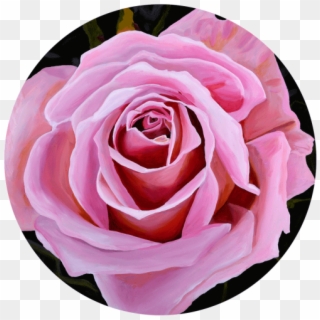 Garden Roses, HD Png Download