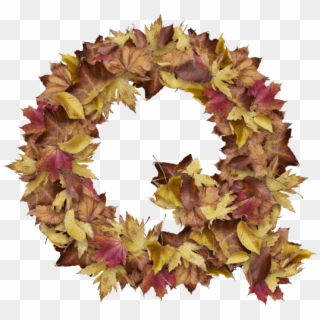 Letter Q From Dry Leaves - Wreath, HD Png Download