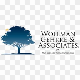 Wollman Gehrke & Associates Pa - Tree, HD Png Download