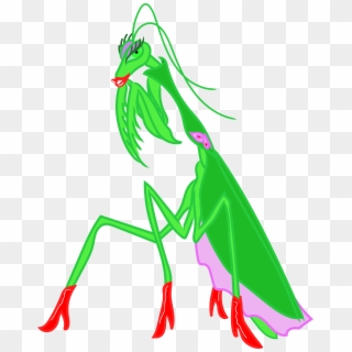 Are You A Femme Fatale, Like This Praying Mantis Make - Illustration, HD Png Download
