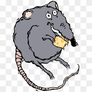 Vector Illustration Of Rodent Rat Eating Cheese, HD Png Download