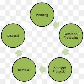 The Unsw Biorepository Has The Knowledge And Infrastructure - Circle, HD Png Download