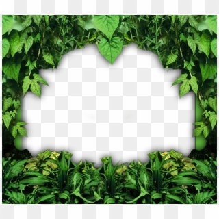 Go To Image - Nature Photo Frames Png, Transparent Png