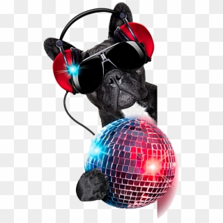 Jockey Colored Photography Dog Ball Nightclub Disc - Dj Dog, HD Png Download