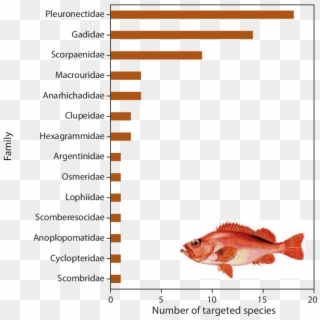 Number Of Commercially Targeted Fish Species By Family - Red Snapper, HD Png Download