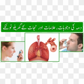 Asthma In Urdu - Poster, HD Png Download