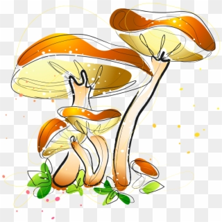 Mushrooms Drawing Watercolor - Watercolor Painting, HD Png Download