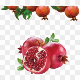 رمان Png, Transparent Png