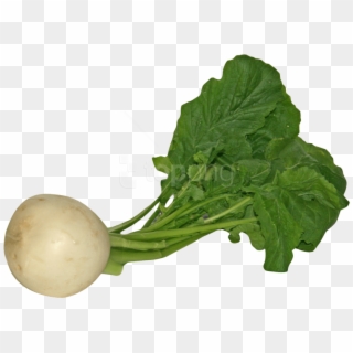 Download Turnip Png Images Background - Turnip Png, Transparent Png