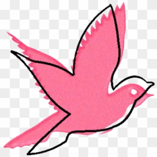 #pink #bird #outline #freetoedit - Pink Pigeon Logo, HD Png Download