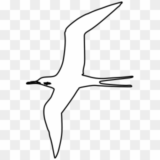 Swallow White Png, Transparent Png
