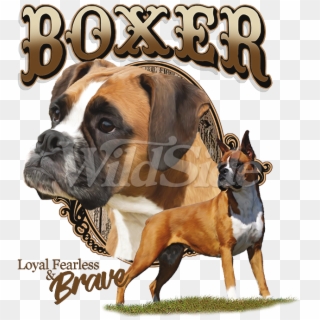 Boxer, HD Png Download