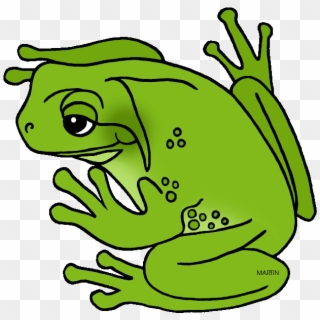 Louisiana State Amphibian - Green Tree Frog Clipart, HD Png Download