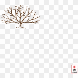 Deciduous Tree Png - Draw A Winter Tree, Transparent Png