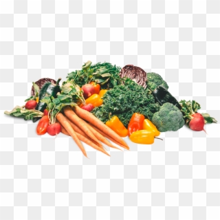 Photo By Jav Ducker - Broccoli, HD Png Download