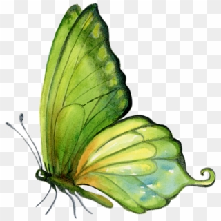 Bleed Area May Not Be Visible - Green Butterfly Watercolor, HD Png Download