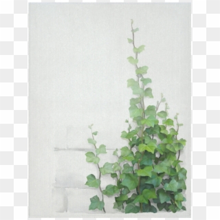 Watercolor Vines, Climbing Plant Cotton Linen Wall - Climbing Plant Png, Transparent Png