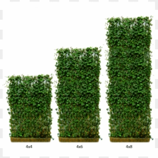 Variety Of Heights - Green Living Fence, HD Png Download