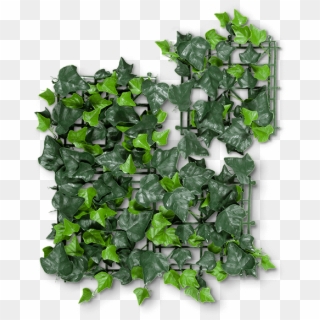 Ivy Artificial Hedge - Bellflower, HD Png Download
