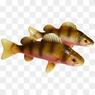 Yellow Perch Fish Salt And Pepper Shakers - Pomacentridae, HD Png Download
