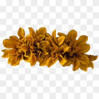 Free Png Transparent Flower Crown Png Png Image With - Brown Flower Crown Png, Png Download