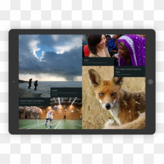 Mangrove-grid - Tablet Computer, HD Png Download