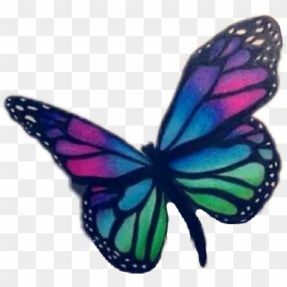 #butterfly #tattoo #tumblr #summer - Butterfly Painting Color Pencil, HD Png Download