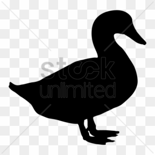 Duck Clip Art Silhouette, HD Png Download