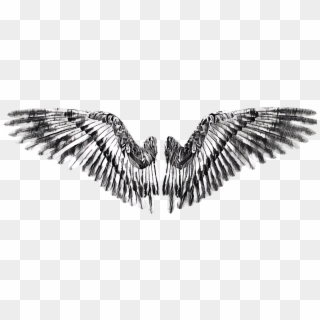 #wing #wings #angel #devil - Golden Eagle, HD Png Download