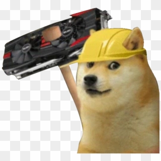 A Day In The Dogecoin Shibes Life 24/7 - Shiba Inu, HD Png Download