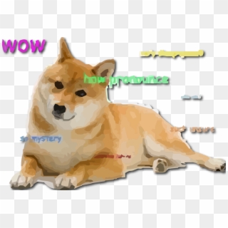 7 Ways - Wow Such Doge, HD Png Download