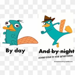 “ Follow For More Disney's Phineas And Ferb Agent P/ - Perry The Platypus Drawing, HD Png Download