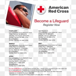 2019 Lifeguard Cert Info - American Red Cross, HD Png Download