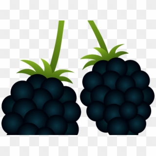 Blackberries Cliparts - Blackberry Clipart Png, Transparent Png