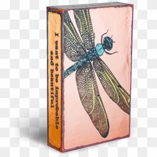 155 Ascent Left - Damselfly, HD Png Download