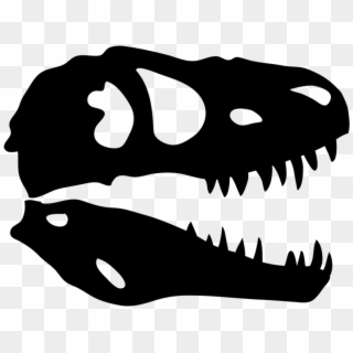 Dinosaur Skull X-ray - T Rex Skull Vector, HD Png Download