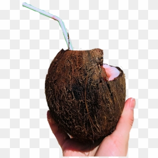 #coconut #drink #challengesticker - Avocado, HD Png Download