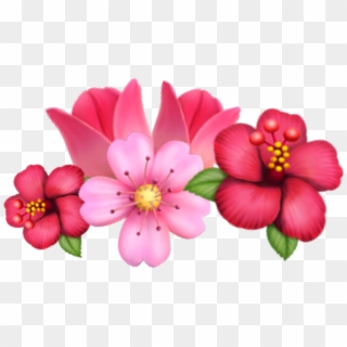 #flower #emoji #sakura #tulip #crown #flowercrown #crownflower - Rosa Glauca, HD Png Download