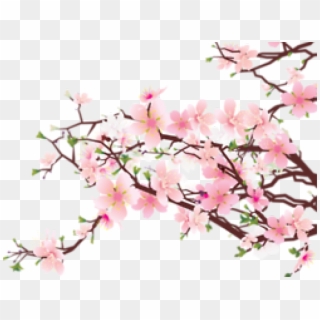 Cherry Blossom Clipart Transparent Tumblr - Cherry Blossom Tree Transparent Background, HD Png Download