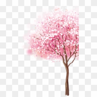Cherry Blossom Tree Clipart, HD Png Download