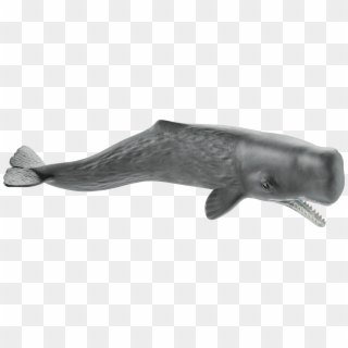 Schleich 14764 Sperm Whale, , Large - Schleich Sperm Whale, HD Png Download