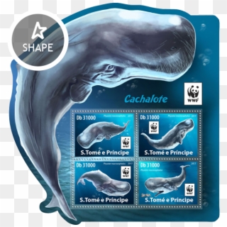 Issue Of Sao Tome And Principe Postage Stamps - Humpback Whale, HD Png Download