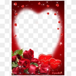 Dia Dos Namorados - Beautiful Rose Day, HD Png Download