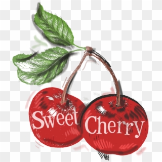 Food Vector - Cherry, HD Png Download