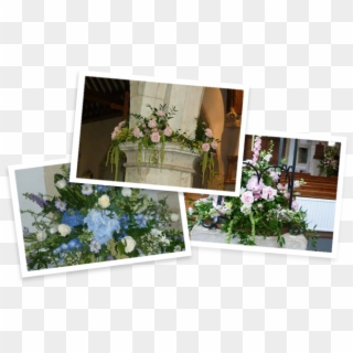 Church Flowers Alton - Baby Blue Eyes, HD Png Download