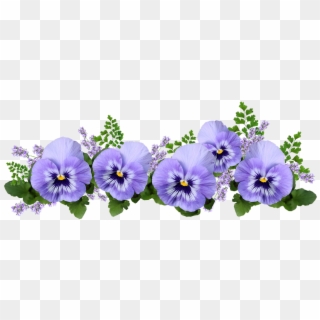 Flowers Pansies Lavender Maiden Hair Fern - Pansy, HD Png Download