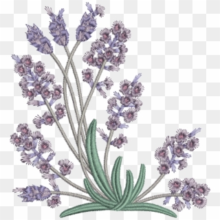 Embroidery Pattern Lavender Flowers , Png Download - Lavender Machine Free Embroidery Designs, Transparent Png
