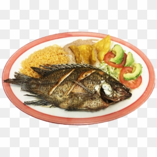 Mojarra Frita - Fried Fish, HD Png Download