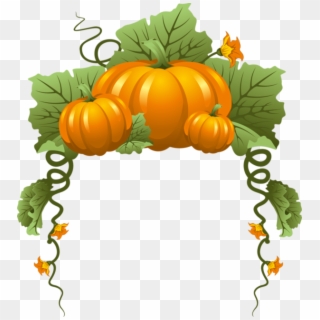 29 - Pumpkin And Gourds Clipart Border, HD Png Download