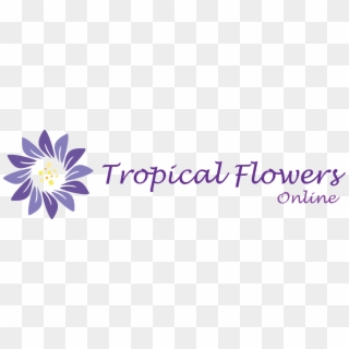Tropical Flowers Online - Calligraphy, HD Png Download